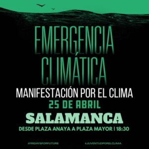 Plaza de Anaya Manifestación por el Clima Salamanca Abril 2019