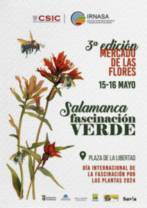 Plaza de la Libertad III Mercado de las Flores Salamanca Mayo 2024