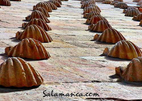 Salamanca, un mar de conchas