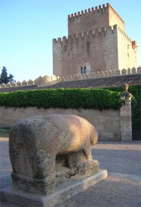 salamanca-ciudad-rodrigo-0