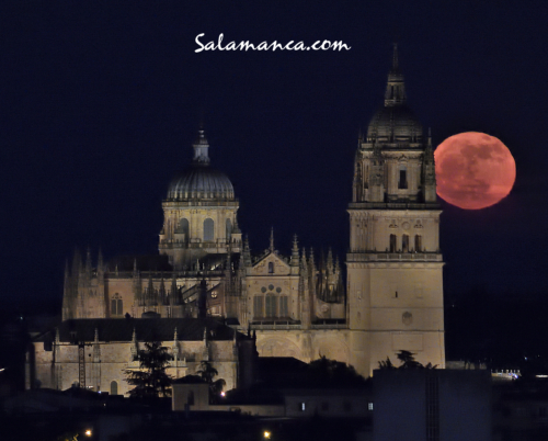 Luna de las Flores... Salamanca volvió a pintarse con la luna