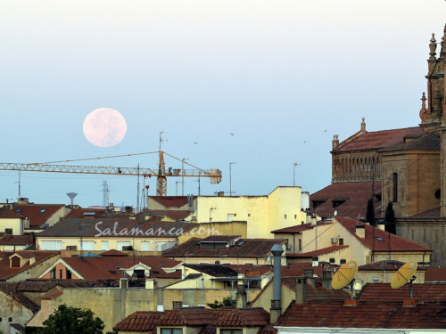 Luna Llena... Confidencias por los tejados de la Luna de la Cosecha