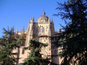 salamanca-brianmac-0