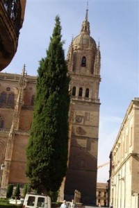 salamanca-chilopez-2