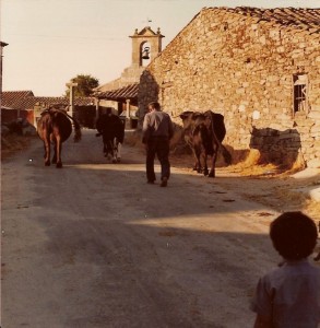 salamanca-mavicentetapia-11