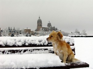 salamanca-ramirorobles-0