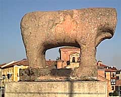 salamanca-toro-puente-romano-0