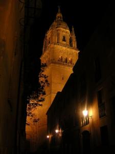 salamanca-catedral-21