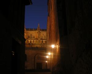 salamanca-catedral-22