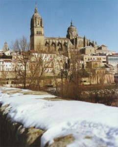 salamanca-puente-romano-2