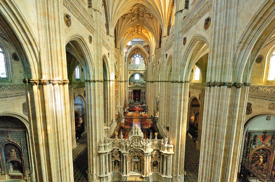 Catedral Vieja Ieronimus Visitas Diurnas Salamanca