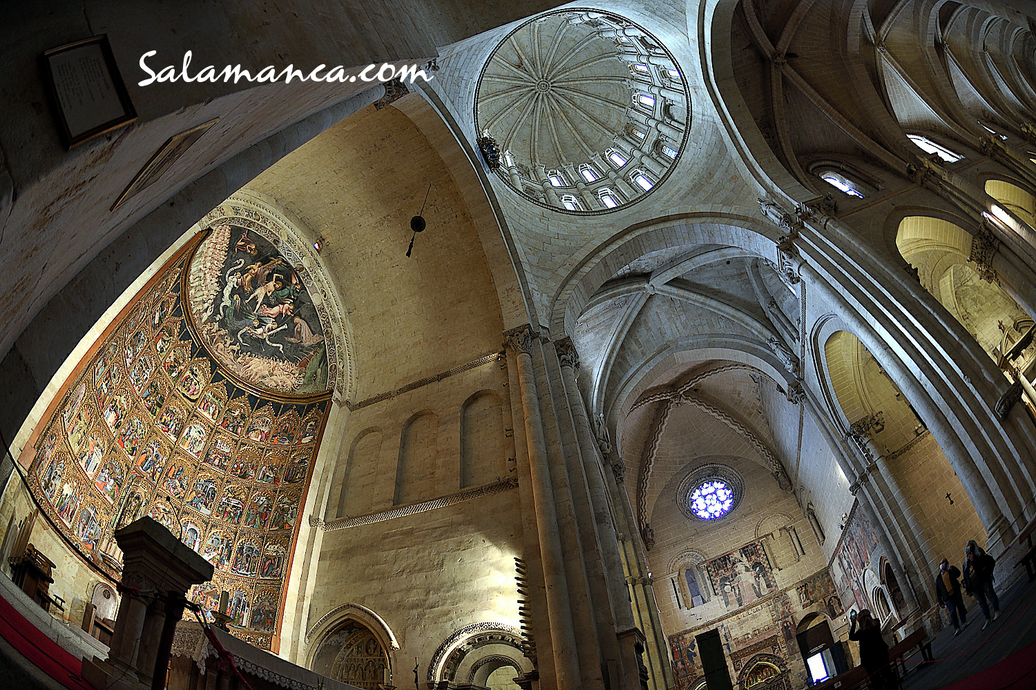 Catedral Vieja Coro y Orquesta del Colegio Radley Salamanca Febrero 2025